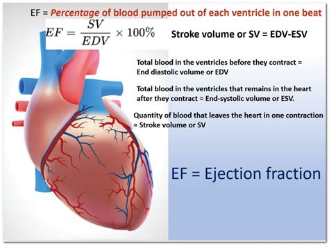 lvef 35 percent|ejection fraction 30 35.